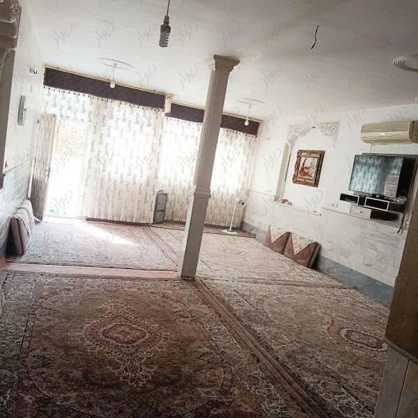 120متر سند تک برگ