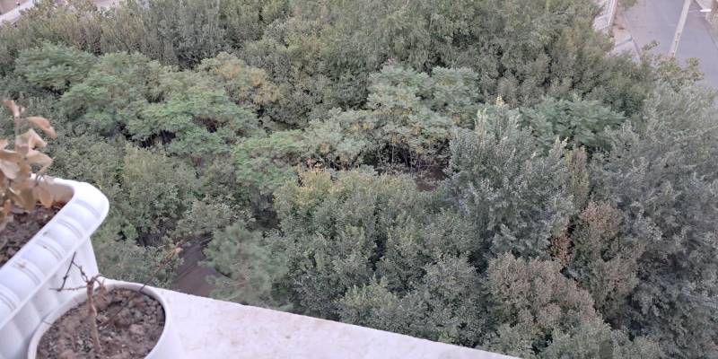 آپارتمان یک طرف چهارده متری یک طرف فضای سبز.