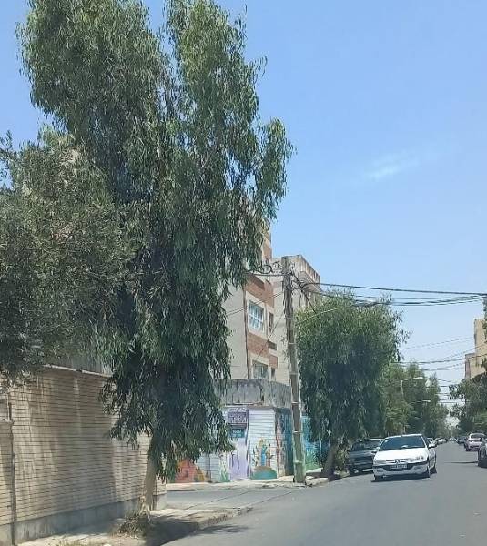 ملک ویلایی  با موقعیت استثنایی_ ۴۰۶ متری _ باجک ۲