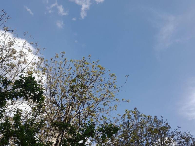                                             آپارتمان خوش نقشه با متراژ بالا
                                                                                آپارتمان
                                        در انسجام قم