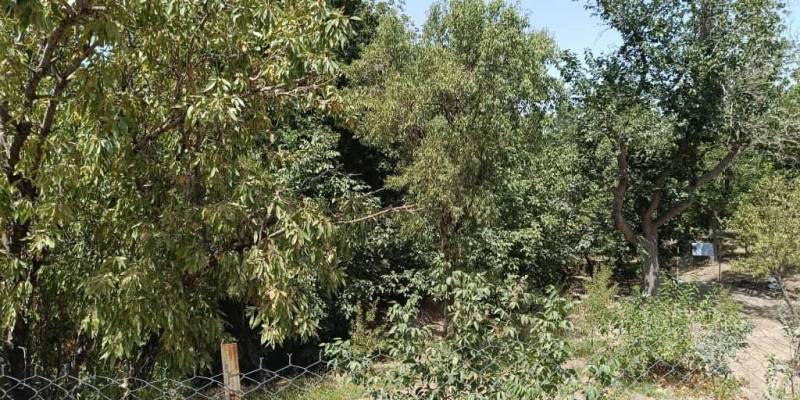                                             خریداران زمین پردیسان بخوانن
                                                                                زمین و باغ
                                        در پردیسان قم