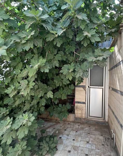                                             فروش خانه ویلایی ۱۵۰ متری ۲ خوابه در هفت تیر
                                                                                منزل ویلایی
                                        در  قم