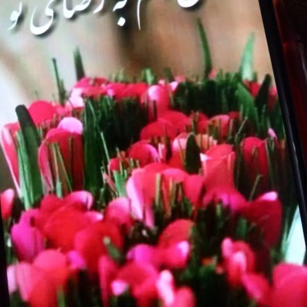                                             فروش زمین ۱۲۵ متری
                                                                                زمین و باغ
                                        در  بابلسر