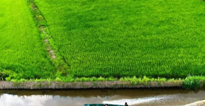                                             ویلاهای چوبی در منطقه ی رو به رشد
                                                                                منزل ویلایی
                                        در آزادگان قم