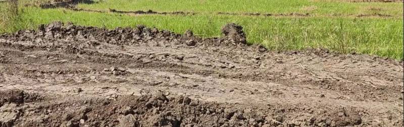                                             فروش زمین 500 متری
                                                                                زمین و باغ
                                        در  بابلسر