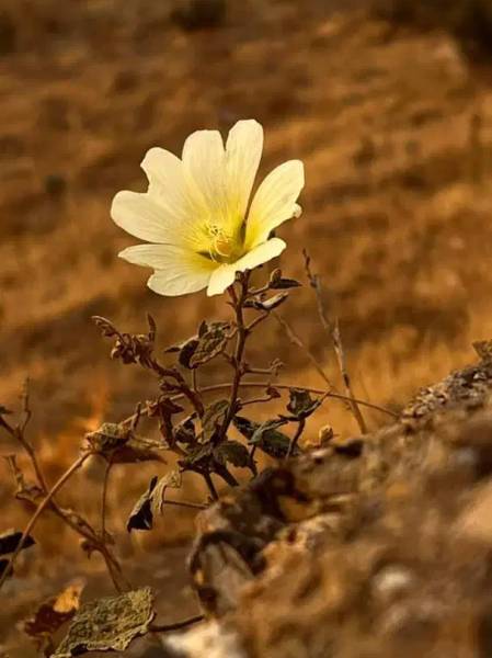                                             زمین مسکن
                                                                                زمین و باغ
                                        در بنیاد (بلوار کریمی) قم