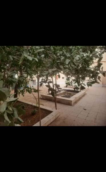                                             فروش منزل در مرکز شهر نزدیک به حرم مطهر و بازار
                                                                                منزل ویلایی
                                        در تکیه آقا سید حسن قم