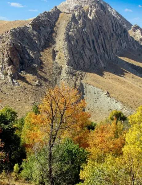                                             زمین ۱۲۰ متری
                                                                                زمین و باغ
                                        در شهرک امام حسین قم