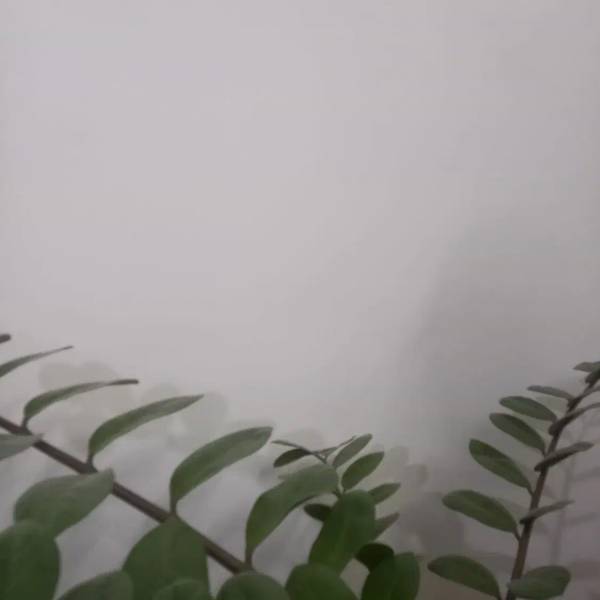                                             زمین  بلوار  ۱۵ خرداد. بر خیابان ۲۰ متری سعدی
                                                                                زمین و باغ
                                        در  قم