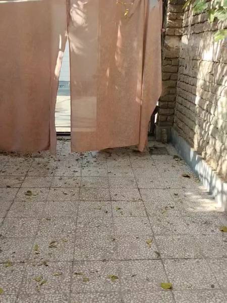                                             فروش منزل مسکونی ویلایی
                                                                                منزل ویلایی
                                        در نوبهار قم
