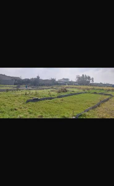 فروش زمین تو‌منظقه بابلسر
