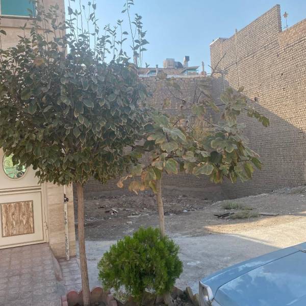                                             زمین بلوار پانزده خرداد ۱۵۰ متر موقعیت ع ا ل ی
                                                                                زمین و باغ
                                        در شهرک شهرداری قم