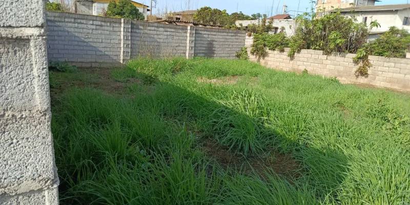                                             زمین مسکونی  164 متر .رودبست
                                                                                زمین و باغ
                                        در  بابلسر