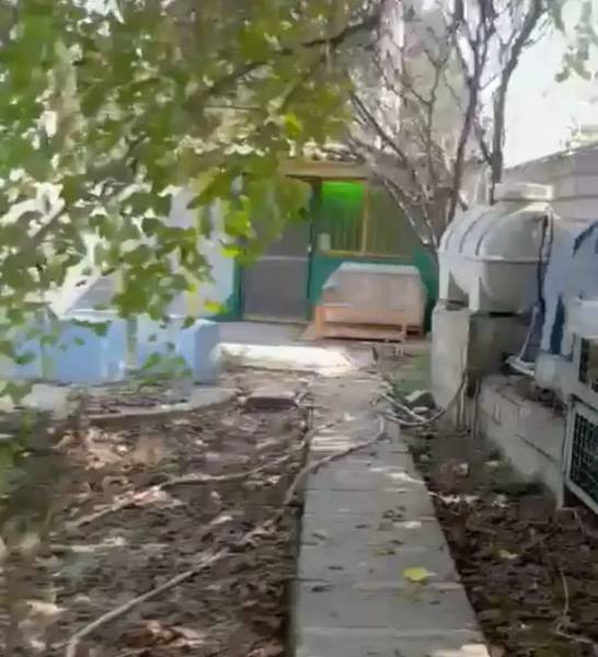                                             باغ موقعیت تجاری لب بلوار دریا کنار با سند ششدانگ
                                                                                زمین و باغ
                                        در  بابلسر
