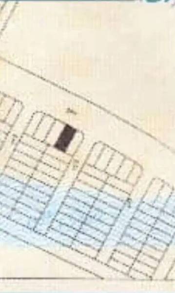 زمین جنوبی  قلفتی