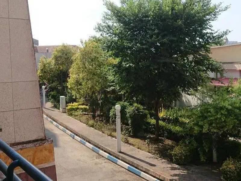                                             فروش دوخوابه در شهرک مینا
                                                                                آپارتمان
                                        در  بابلسر
