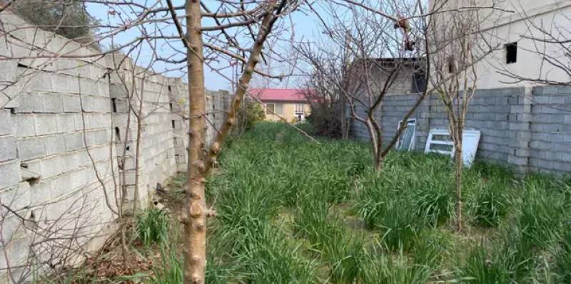                                             فروش ویلای 500 متری سه دقیقه تا دریا با سند
                                                                                منزل ویلایی
                                        در  بابلسر