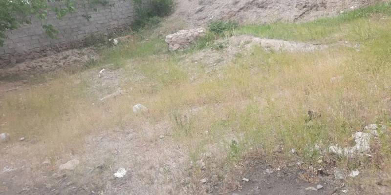                                             ۷۵۰مترزمین تفرش
                                                                                زمین و باغ
                                        در لسانی قم