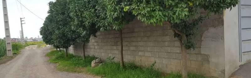                                             خانه ویلایی
                                                                                منزل ویلایی
                                        در  بابلسر