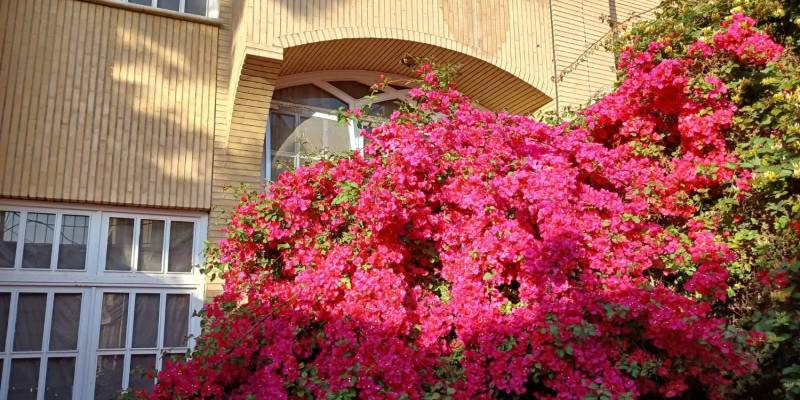                                             ویلایی حدود ۲۰۰ متر زیربنا دو طبقه مجزا عمار یاسر
                                                                                منزل ویلایی
                                        در عمار یاسر قم