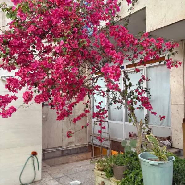 ملک  فروشی مخصوص دکترها