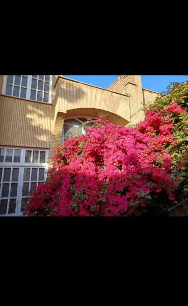 عماریاسر 106 متر دو طبقه ویلایی شمالی