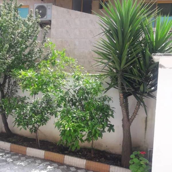                                            اجاره خونه ویلایی
                                                                                منزل ویلایی
                                        در  بابلسر