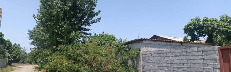                                             زمین ساحلی منطقه زیبای کرفون بابلسر
                                                                                زمین و باغ
                                        در  بابلسر