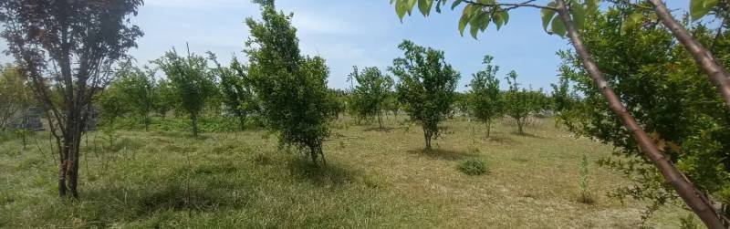                                             زمین ساحلی منطقه زیبای کرفون بابلسر
                                                                                زمین و باغ
                                        در  بابلسر