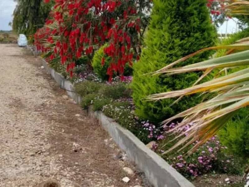                                             زمین ساحلی سند دار منطقه زیبای چپکرود
                                                                                زمین و باغ
                                        در  بابلسر