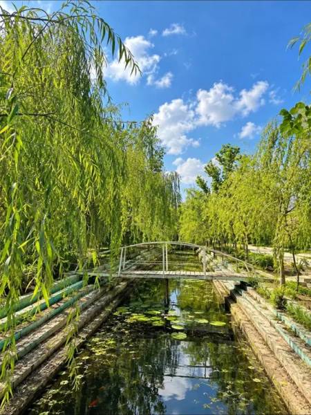 ویلایی همکف بالا جنوبی