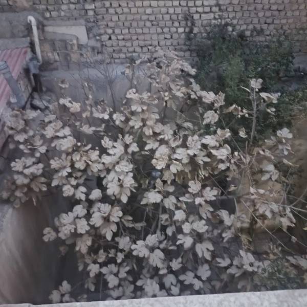 خانه ویلایی