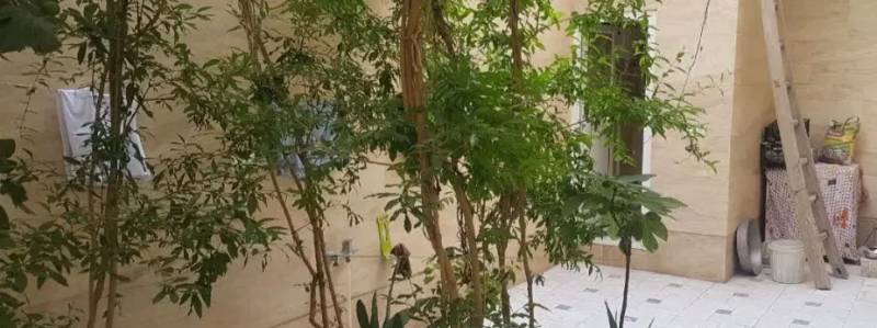                                             ویلایی۳ طبقه جنوبی مهندسی ساز خیابان هنرستان
                                                                                منزل ویلایی
                                        در هنرستان قم