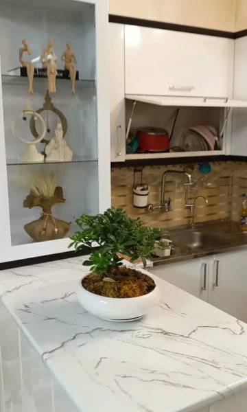                                             خانه ویلایی
                                                                                منزل ویلایی
                                        در خاکفرج قم