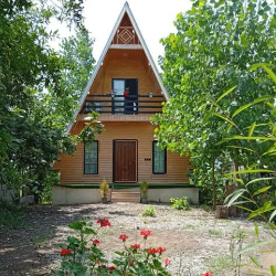  مهدی گایینی